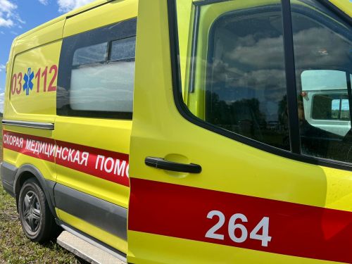 Бык насмерть забодал женщину и ранил ее мужа