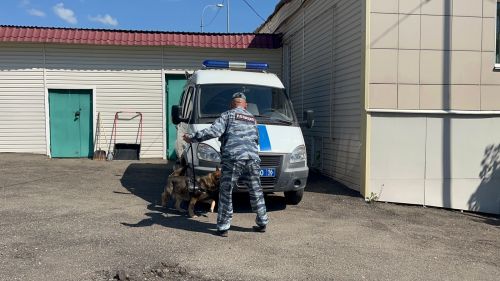 Пожилые жители Агрыза передали мошенникам-курьерам крупные суммы сбережений