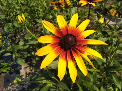 Прогноз погоды на 7 июня