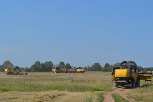В фермерских хозяйствах заготовлено 670 тонн сена