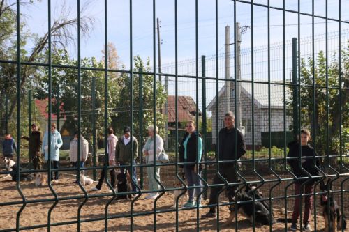 В Агрызе открылась площадка для дрессировки собак