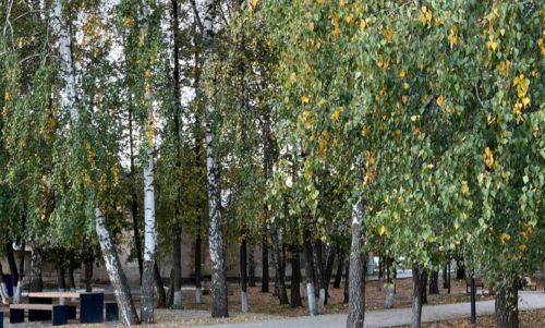 Бүген Татарстанда +26 градуска кадәр җылы көтелә