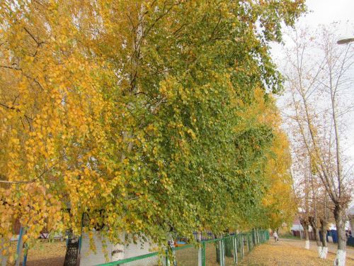 Татарстанда ял көннәрендә һава температурасы +27 градуска кадәр күтәреләчәк
