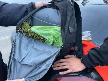 В Агрызе полицейские задержали сборщика конопли