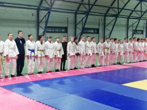 Федерация дзюдо РТ провела в Агрызе практический семинар
