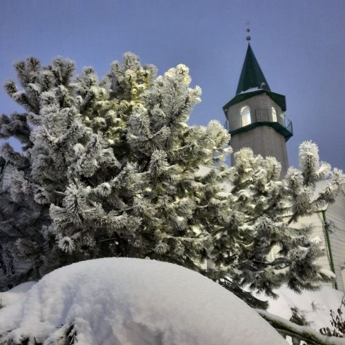 Гыйнвар аена намаз вакытлары