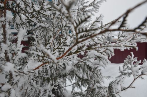 Прогноз погоды на 12 февраля