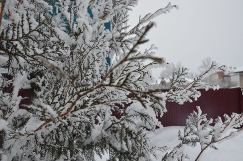 Прогноз погоды на 6 февраля