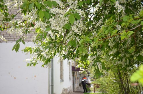 Синоптиклар алдагы көннәргә һава торышын фаразладылар