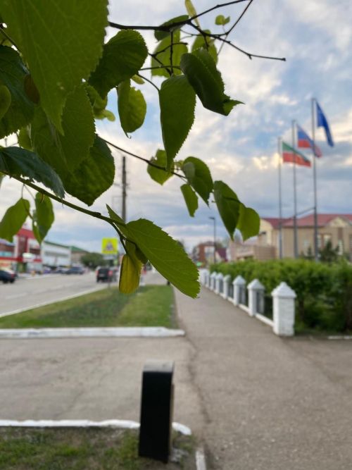 Татарстанда -5 градуска кадәр салкынайта һәм кар көтелә