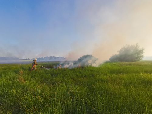 В жаркие дни в Кичкетане и Ямурзино зарегистрированы случаи горения травы