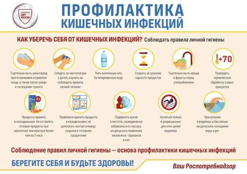 Управление Роспотребнадзора напоминает о профилактике кишечных инфекций