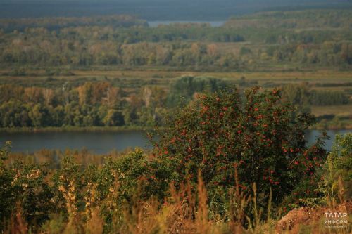 Стало известно, как долго продлится бабье лето в Татарстане