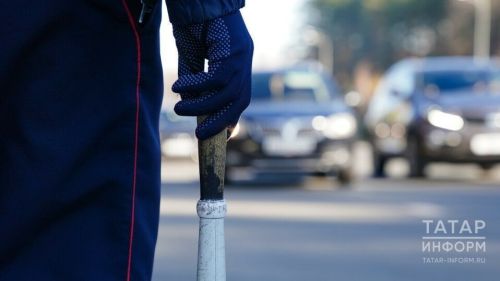 В Агрызском районе стартовала оперативно-профилактическая акция «Ремень безопасности»