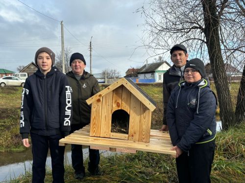 В Агрызе установили домики для диких уток