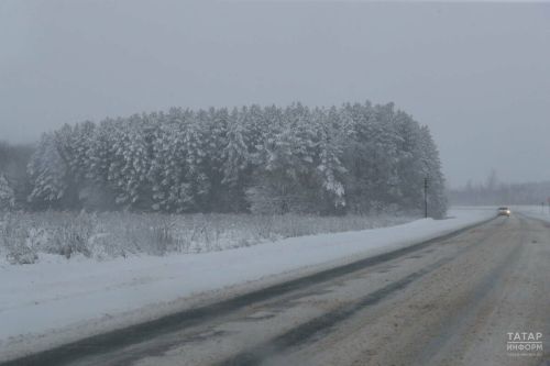 В Татарстане прогнозируется туман