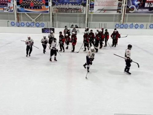 Очередной матч «Спутника» завершился со счетом 6:2
