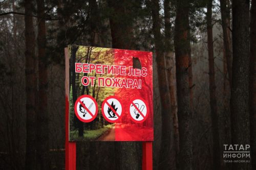 В Агрызском районе вводится противопожарный режим