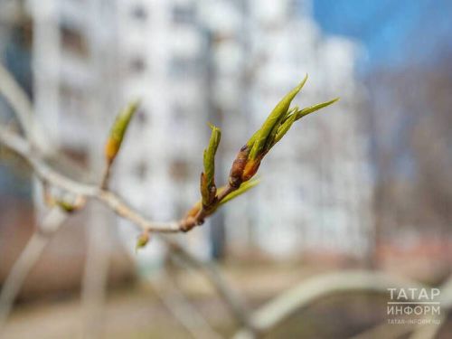 Прогноз погоды на 16 апреля в Агрызе
