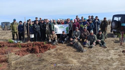 «Сад памяти» зацвел на горе Мыртый: жители Кичкетана посадили сотни деревьев в честь героев Великой Отечественной войны