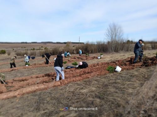«Сад памяти» зацвел на горе Мыртый: жители Кичкетана посадили сотни деревьев в честь героев Великой Отечественной войны