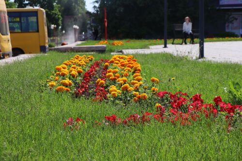 Погода в Татарстане: тепло и без осадков до конца недели
