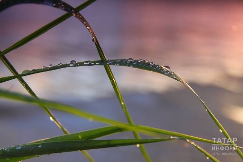 Синоптик Шувалов Татарстанда атна дәвамында кыраулар көтелүе турында кисәтте
