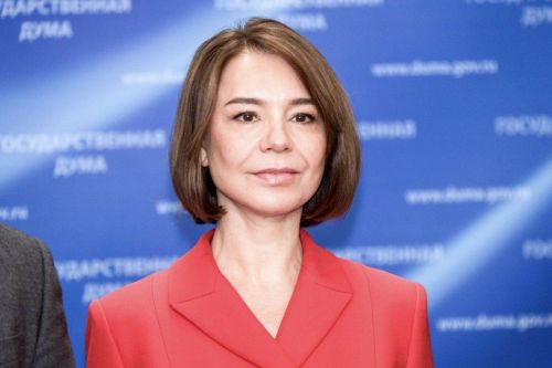 Альфия Когогина: Законопроект о едином подходе к развитию инвестиционной деятельности направлен на улучшение делового климата
