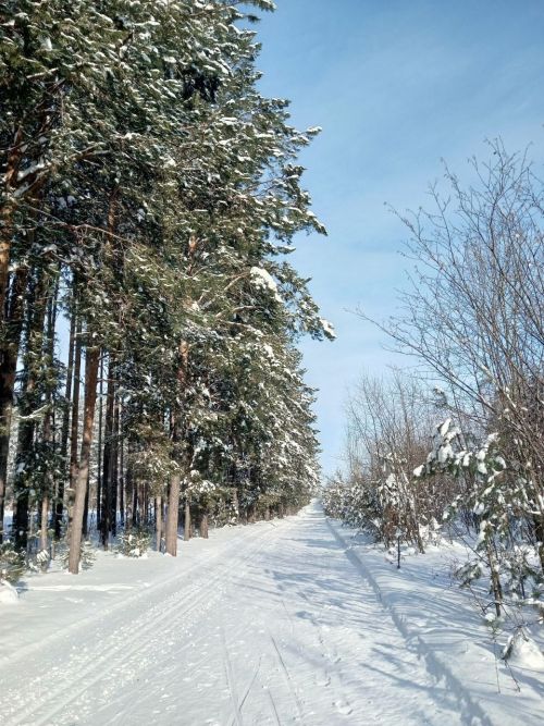 Татарстанда -3°C кадәр җылыта, кар һәм бураннар фаразлана