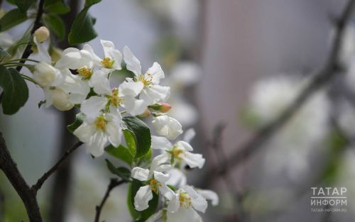 Татарстанда март аенда ике тапкыр рәттән өчәр көн ял булачак