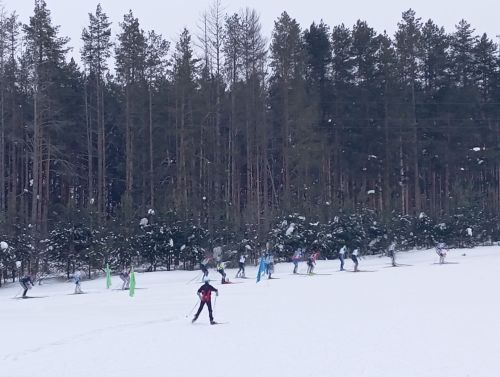 В Агрызе впервые прошла лыжная гонка на дистанцию 40 километров