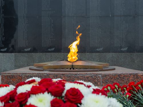 Альфия Когогина: Наша задача – не допустить искажения исторической памяти