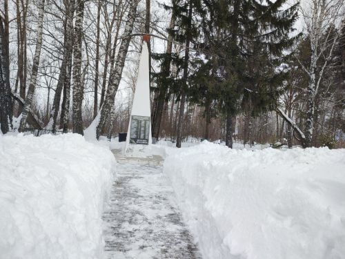 Активисты «Молодой Гвардии» привели в порядок памятник героям