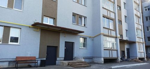 В рамках региональной недели Агрыз посетила Альфия Когогина