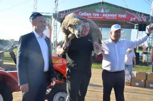 Әгерҗе Сабан туенда җиңгән һәм призлы урын яулаган көрәшчеләр