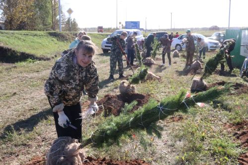 Новая аллея в честь Асафа Абдрахманова в Агрызе