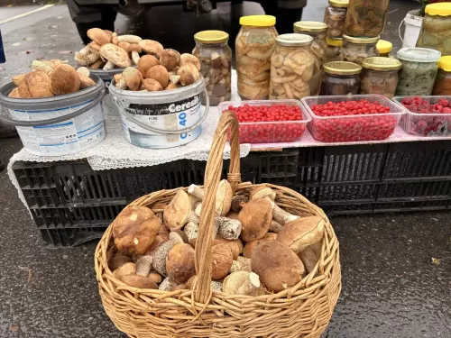 Осенние ярмарки в разгаре!