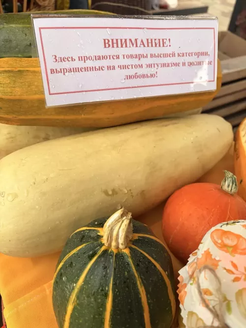 Осенние ярмарки в разгаре!