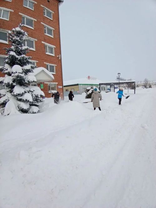Общегородской субботник борьбы со снегом