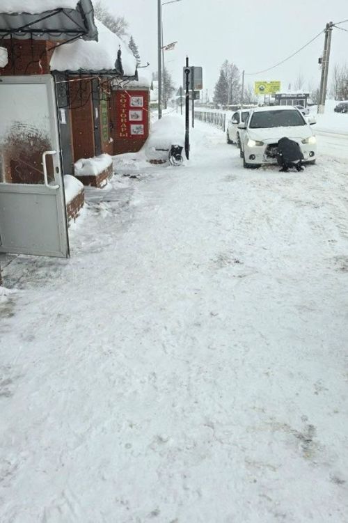 Общегородской субботник борьбы со снегом