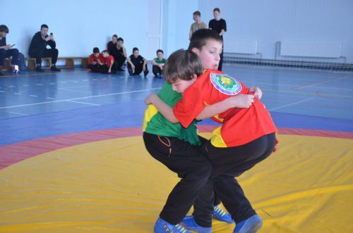 В Агрызе состоялись соревнования по национальной борьбе