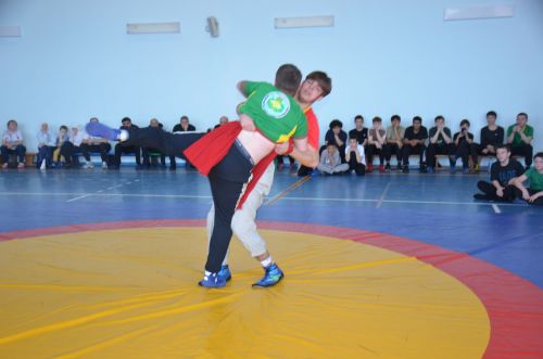 В Агрызе состоялись соревнования по национальной борьбе
