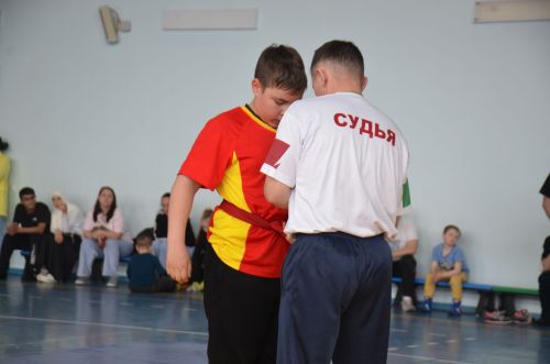 В Агрызе состоялись соревнования по национальной борьбе