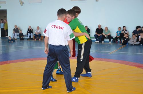 В Агрызе состоялись соревнования по национальной борьбе