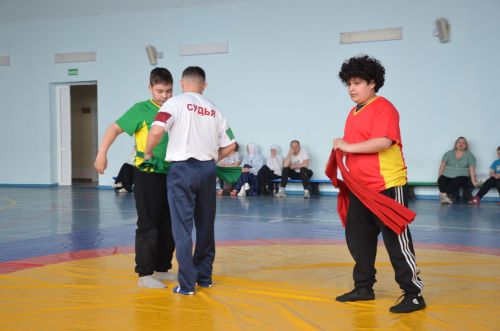 В Агрызе состоялись соревнования по национальной борьбе
