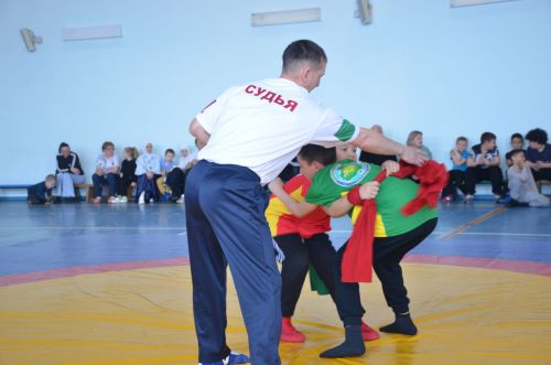В Агрызе состоялись соревнования по национальной борьбе