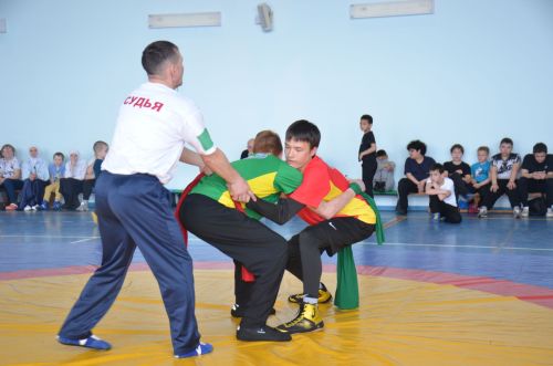 В Агрызе состоялись соревнования по национальной борьбе