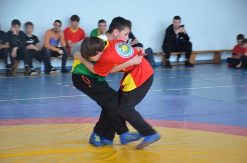 В Агрызе состоялись соревнования по национальной борьбе