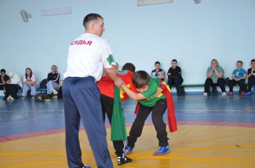 В Агрызе состоялись соревнования по национальной борьбе