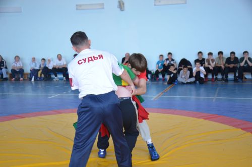 В Агрызе состоялись соревнования по национальной борьбе